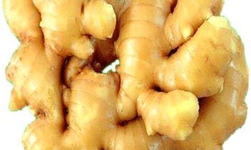 熟地黄和山茱萸泡水喝的作用与功效-熟地黄的作用作用网 - 网站提供熟地黄功效作用小常识、熟地黄功效作用